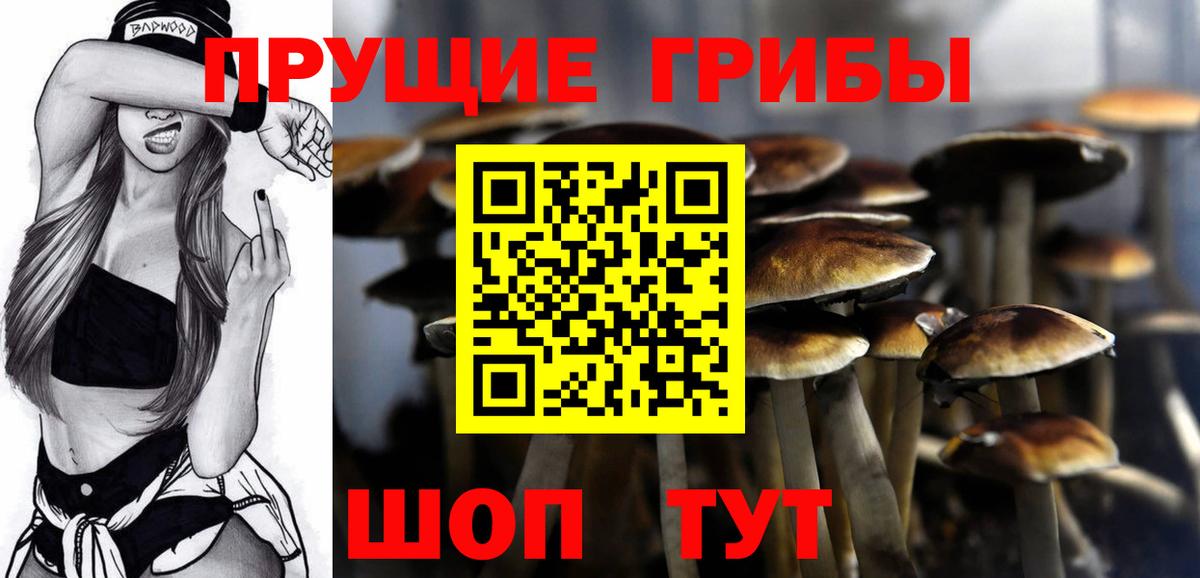 Мценск  Галлюциногенные грибы GOLDEN TEACHER  Псилоцибиновые грибы мицелий  закладка  Вход с VPN 
