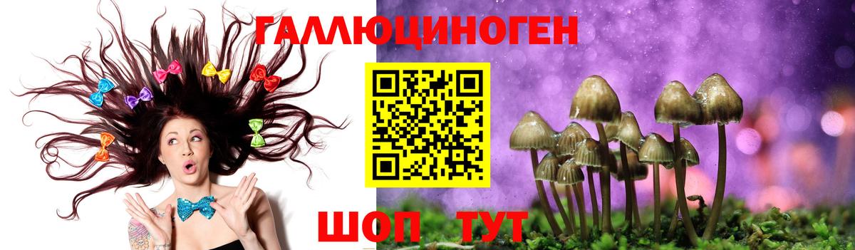 Псилоцибиновые грибы MAGIC MUSHROOMS Мценск
